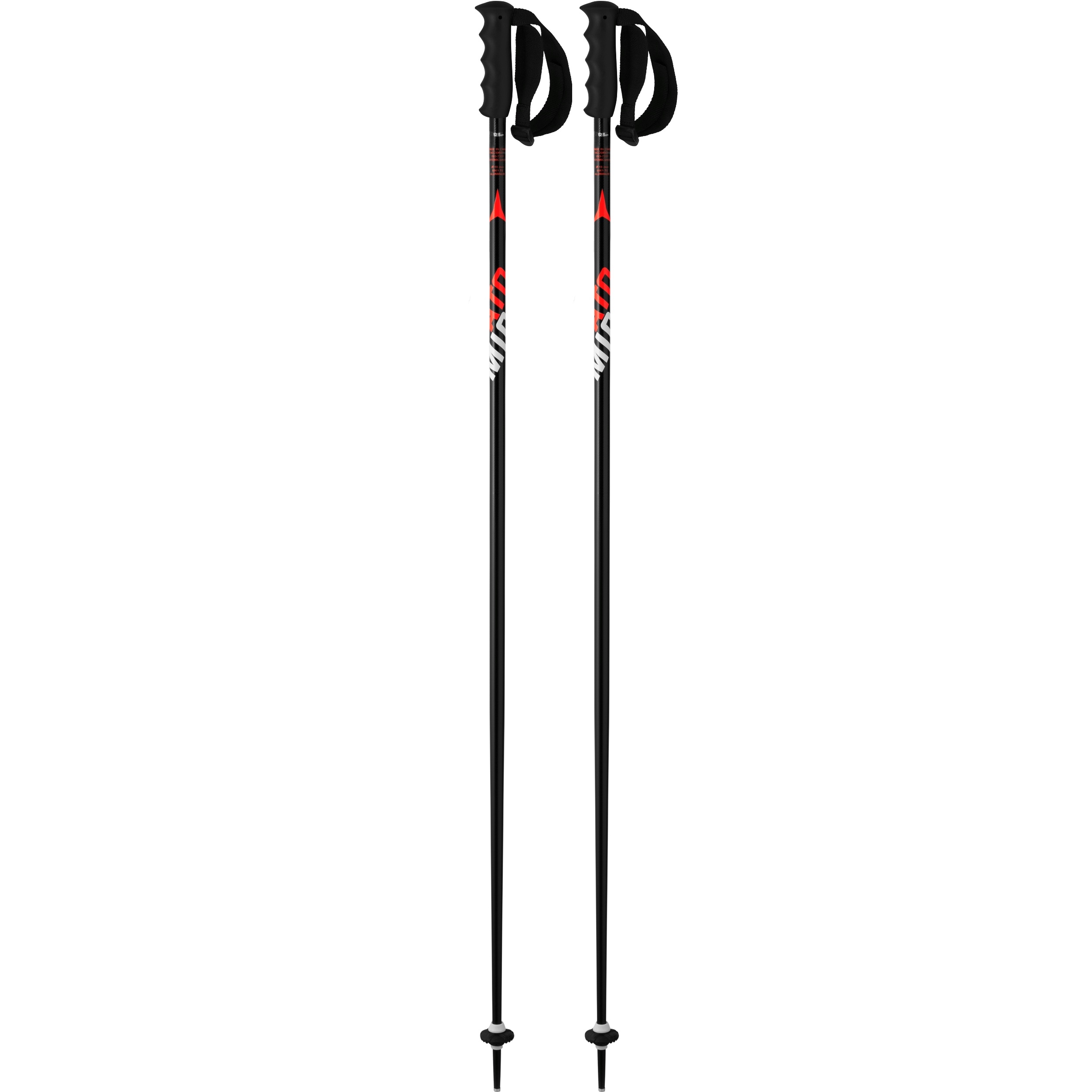 Ski Poles -  atomic Redster 10 XT